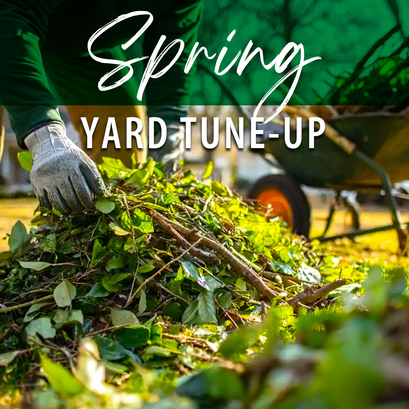 Schedule Your Spring Yard Tune-Up